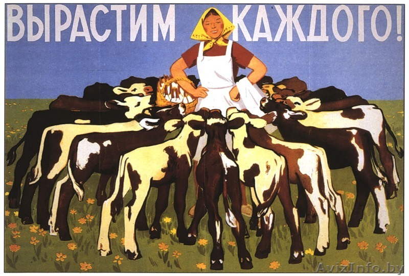 Постеры, плакаты,календари,стикеры, репродукции, фотографии, портреты на холстах - Изображение #1, Объявление #36956