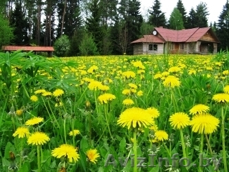 Коттедж под Минском - Изображение #1, Объявление #30017