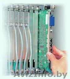 Прокладка компьютерных сетей ЛВС, Телефонизация офисов - Изображение #1, Объявление #41729