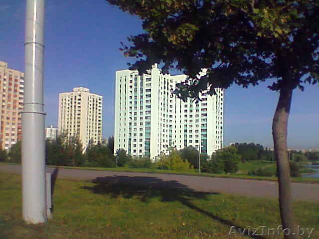 1-ая квартира в серебрянке в красивом месте на берегу водохранилища - Изображение #1, Объявление #41544