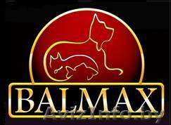 Оптовая продажа товаров для животных (зоотоваров) - Изображение #1, Объявление #48132