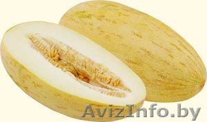 Дыня узбекская Торпеда  - Изображение #1, Объявление #53316