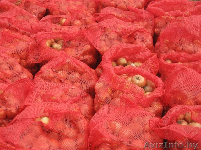 Продам лук репчатый - Изображение #1, Объявление #69900