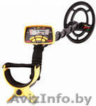 Металлоискатель - Изображение #1, Объявление #65872