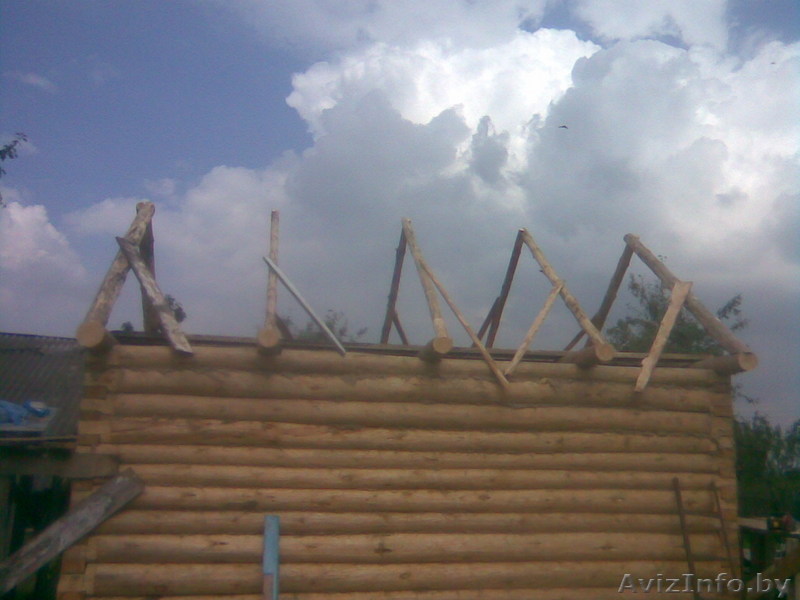 сруб бани из кругляка - Изображение #1, Объявление #74272