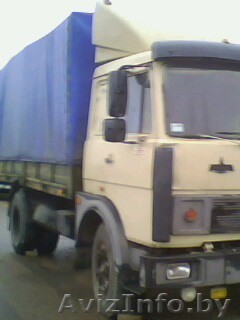  Продаю МАЗ 53371,1992г. - Изображение #1, Объявление #84794