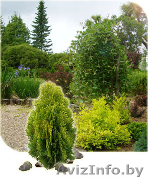 УП Щемыслица БГУ - Изображение #1, Объявление #77061