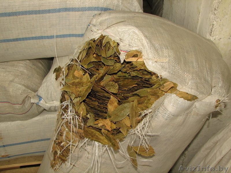 лавровый лист, весовой, Грузия. - Изображение #1, Объявление #83792