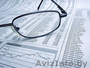 ИП ЕВДОКИМЕНКО - аудит всех форм собственности - Изображение #1, Объявление #96708