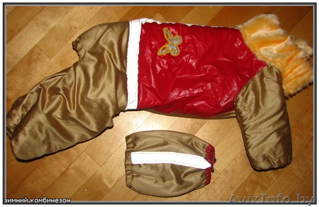 зимний комбинезон для собачки - Изображение #1, Объявление #92783