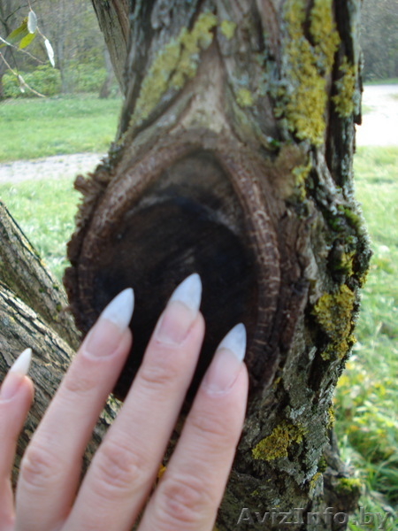 Маникюр,наращивание ногтей без спила ногтевой пластины! - Изображение #1, Объявление #96548