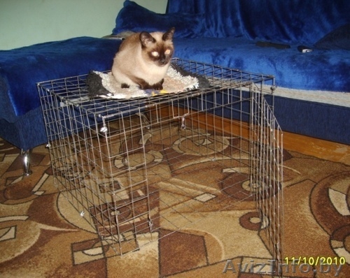 Клетка для собаки - Изображение #1, Объявление #97113