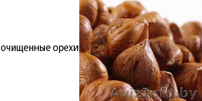 GeoBusiness Group  - Изображение #1, Объявление #113728