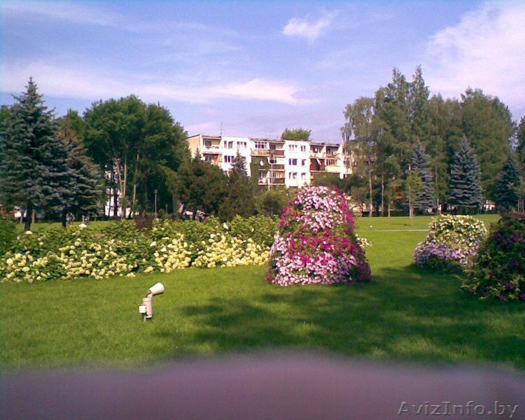 Недорого 1ком.кв.в Литве - Изображение #1, Объявление #105617