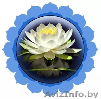 Химчистка ковров, мягкой мебели. Уборка квартир, офисов, коттеджей - Изображение #1, Объявление #120091