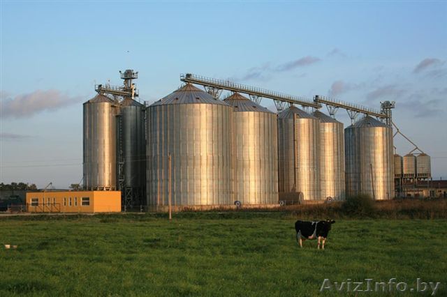 Porzelack зерносушильные комплексы, элеваторы, маслоцеха "под ключ" - Изображение #1, Объявление #156575