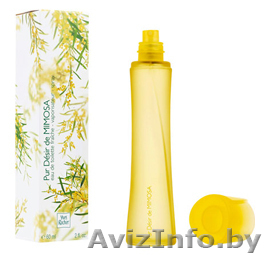 Туалетная вода Мимоза Ив Роше - Изображение #1, Объявление #165303