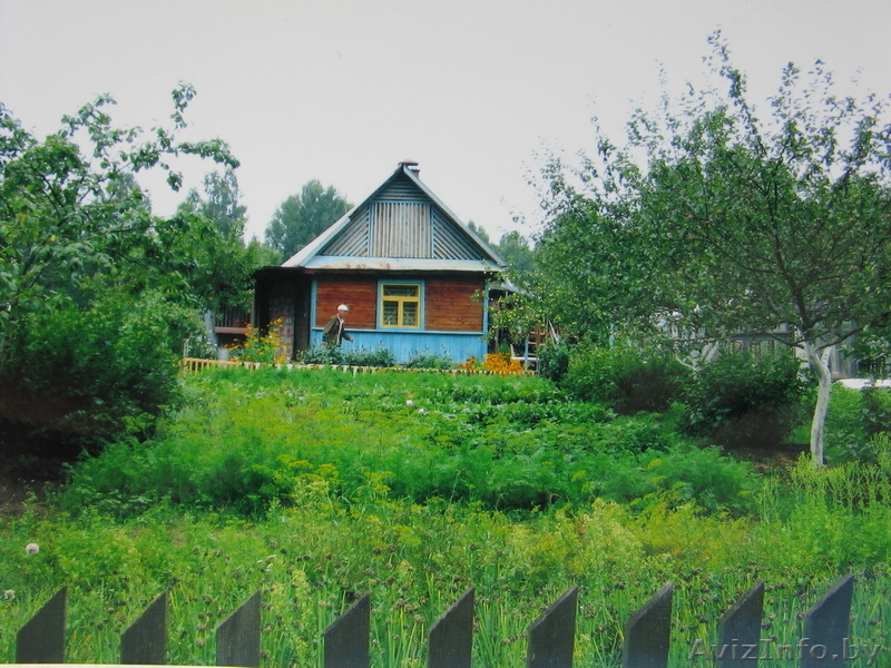 Дачный участок с домом - Изображение #1, Объявление #172064