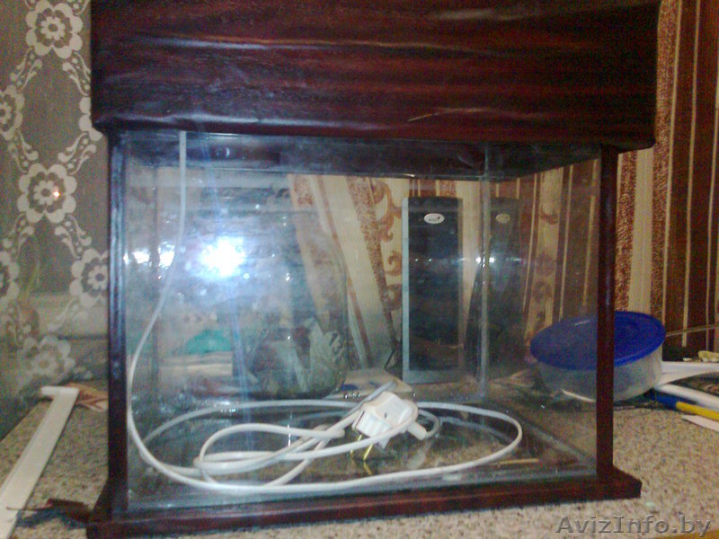 продам аквариум 30 литров. - Изображение #1, Объявление #208296