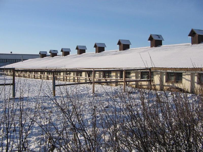 Производственно-складские помещения (Здание, Склад, Склад+офис, Произв - Изображение #1, Объявление #185446