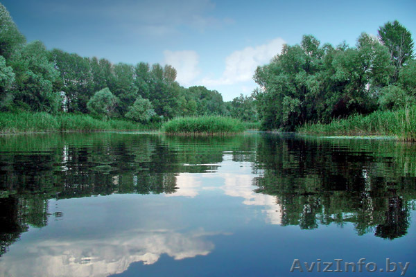 Отдых и путешествия на Чёрном море - Изображение #1, Объявление #232761