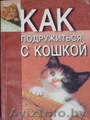 Лисовская Е. Как подружиться с кошкой - Изображение #1, Объявление #217680