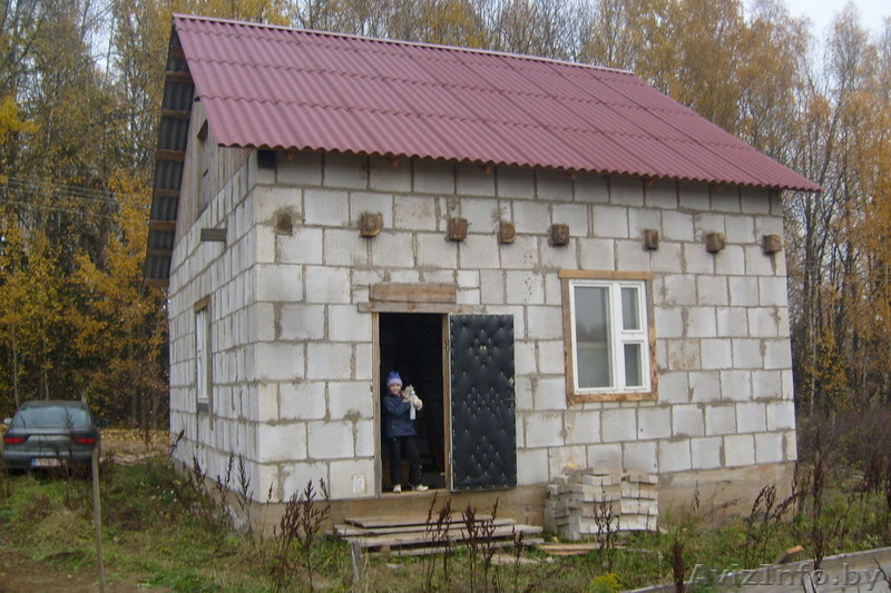 Продам дачу возле Логойска в с/т "Вераги" 10 соток - Изображение #1, Объявление #236865