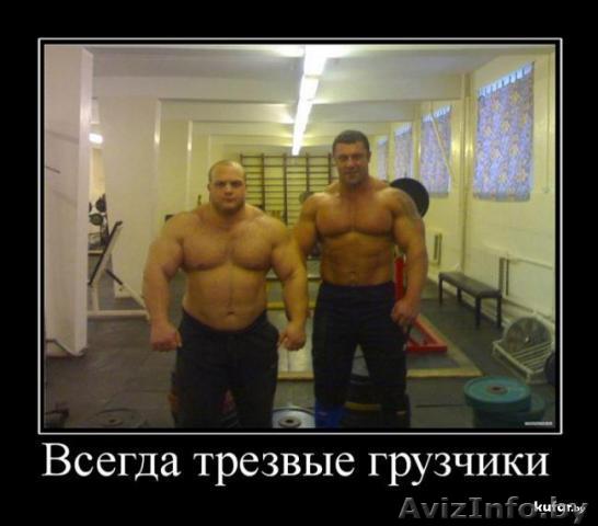 ГРУЗЧИКИ РАЗНОРАБОЧИЕ ГРУЗОПЕРЕВОЗКИ ЗЕМЕЛЬНЫЕ РАБОТЫ - Изображение #1, Объявление #262312