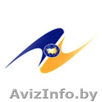 таможенаая очистка,  таможенное оформление, Беларусь, Минск - Изображение #1, Объявление #250041