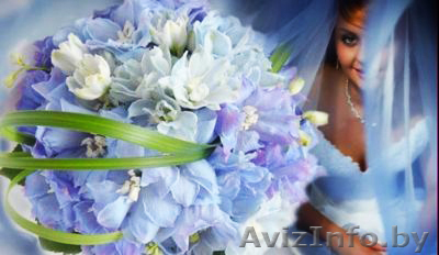 Лучшее видео среди доступного! Съемка проф. камерой! - Изображение #1, Объявление #277712