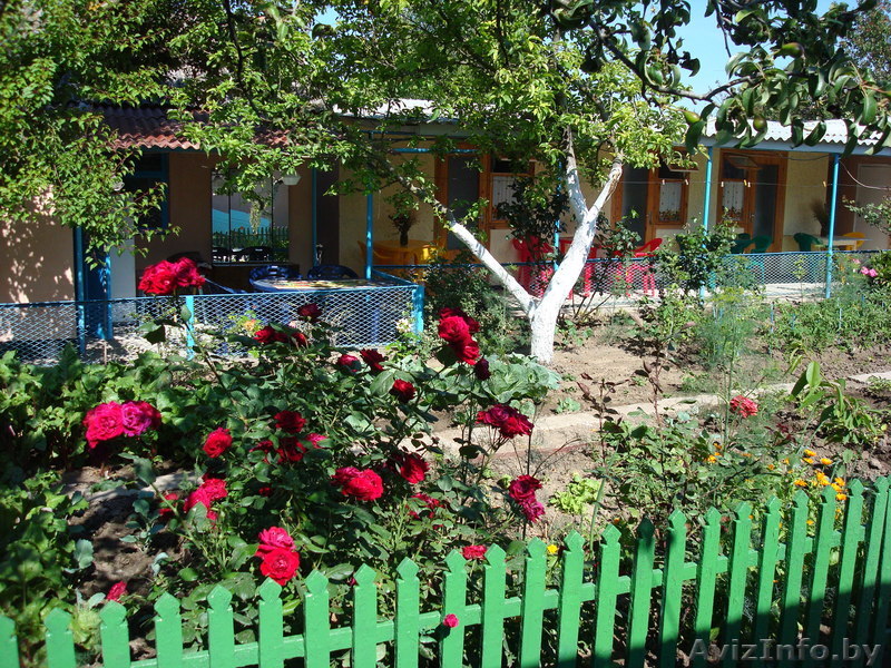 отдых в минипансионате "У Генриха" в черноморском АР Крым - Изображение #1, Объявление #294470