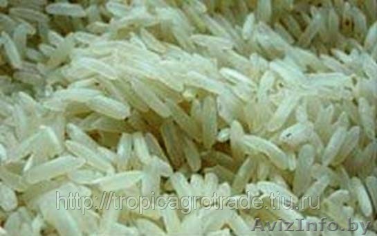Рис оптом из Пакистана - Изображение #1, Объявление #320672