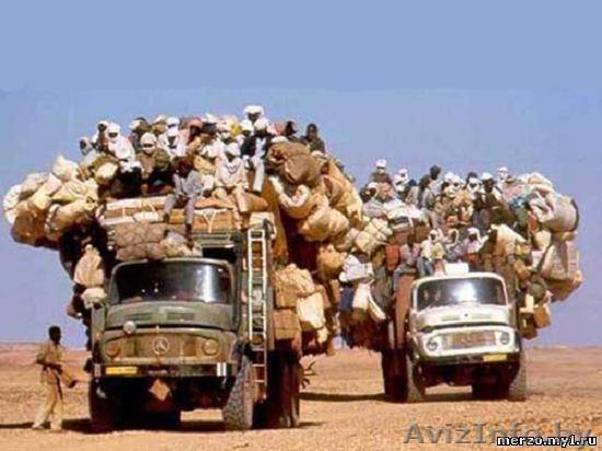 Грузоперевозки ,услуги грузчиков , - Изображение #1, Объявление #352146