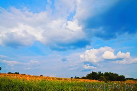 Продам участок в хорошем садовом товариществе - Изображение #1, Объявление #395290