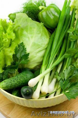 Экологически чистая зелень - Изображение #1, Объявление #379286