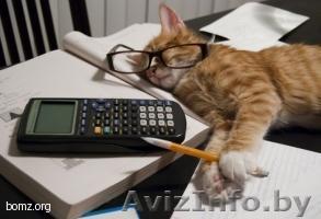 Ведение бухгалтерского и налогового учета - Изображение #1, Объявление #421366