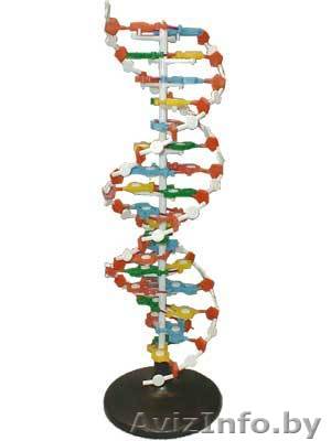 Репетитор по БИОЛОГИИ.  - Изображение #1, Объявление #457924