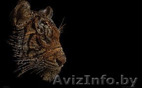 Зарабатывай на заполнении анкеты 30-50 руб за 5 мин.  - Изображение #1, Объявление #476481