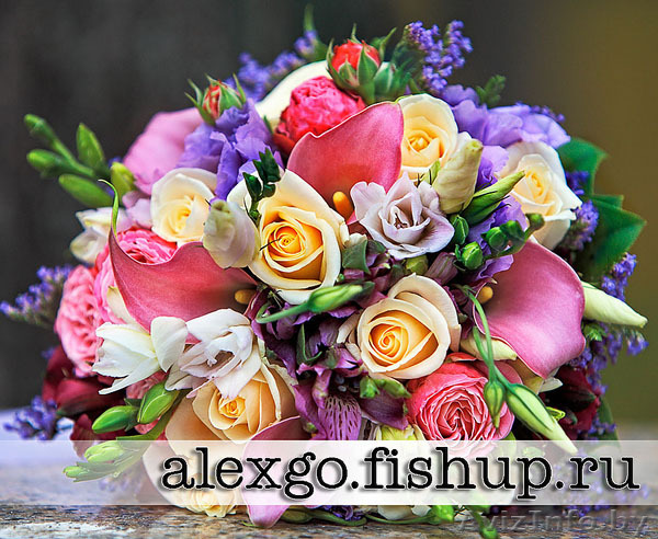 Фотограф на торжество  - Изображение #1, Объявление #421263