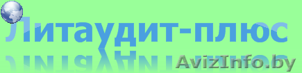 ООО "Литаудит-плюс" - Изображение #1, Объявление #487345