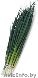 +375297813689 Георгий - Изображение #1, Объявление #536044