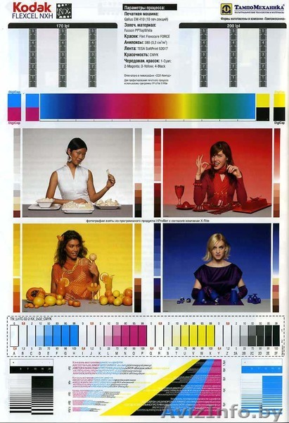 ООО День печати - Изображение #1, Объявление #560608