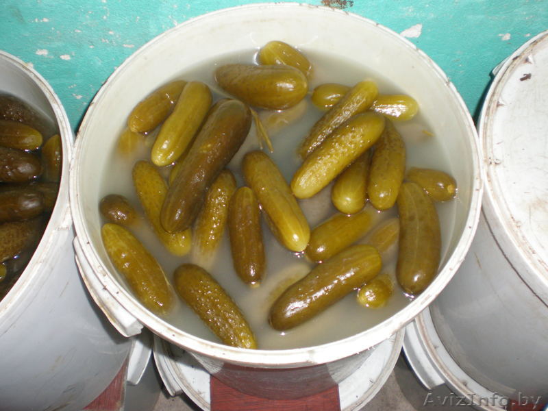 Продаю огурцы соленые - Изображение #1, Объявление #582418