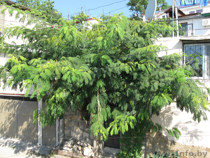 Квартира в 3 мин. от моря - Изображение #1, Объявление #632512