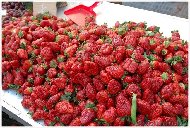 клубника оптом доставка по Беларуси бесплатно!!! - Изображение #1, Объявление #659767