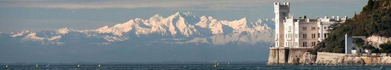 Modus Vivendi VIS - Изображение #1, Объявление #644628