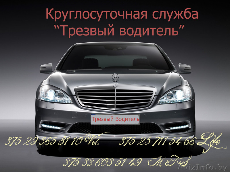 Трезвый водитель - Изображение #1, Объявление #699176