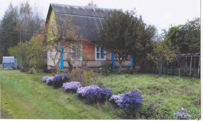 Продается дача очень срочно в хорошем состоянии,приватизирована, 60 км от МКаД. - Изображение #1, Объявление #692990