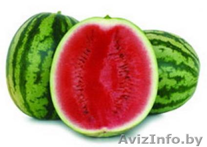 Продам арбуз отпом - Изображение #1, Объявление #713869