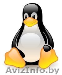 Курсы "Основы UNIX (на базе Debian)" - Изображение #1, Объявление #746107